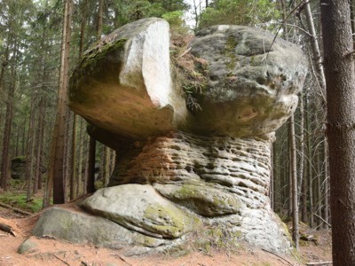 Skalne Grzyby - forma skalna Żółw
